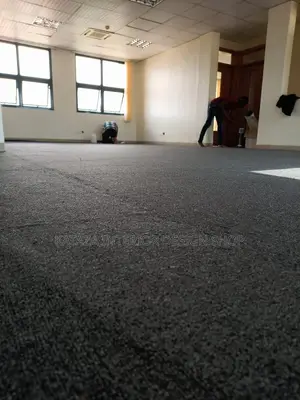 Woolen Carpet/Woolen Carpets/Woolen Carpets