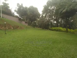 Exceutive Mansion for Sale in Kololo Sitted at 1 Acres