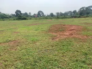 Commercial Land