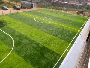 Artificial Turf Grass Carpet/Synthetic Turf/Grass Carpet