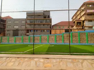 Artificial Turf Grass Carpet/Synthetic Turf/Grass Carpet