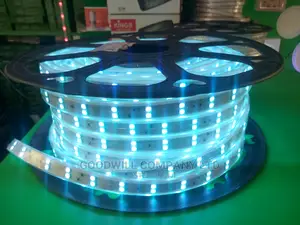 Strip Light White Color 50m Roll