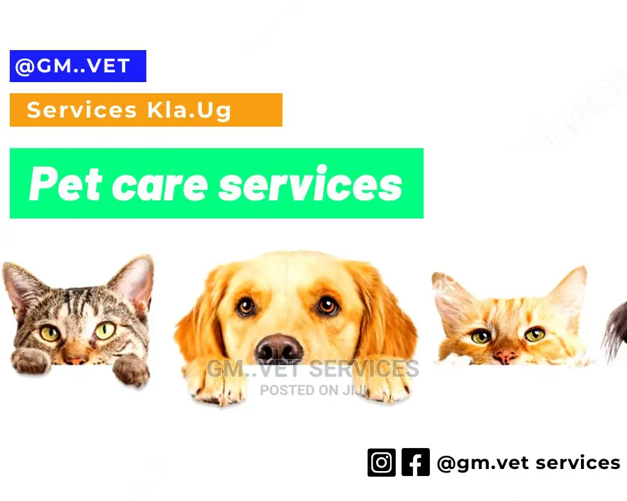Gm Vet Services