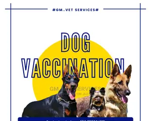 Gm Vet Services