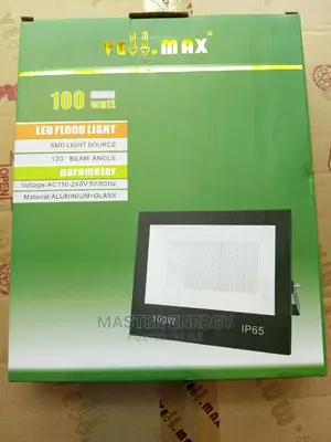100w Flood Light AC