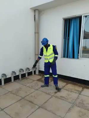 Pest Control Against Ants, Mosquitoes