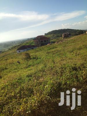Nabusugwe Plot for Sell