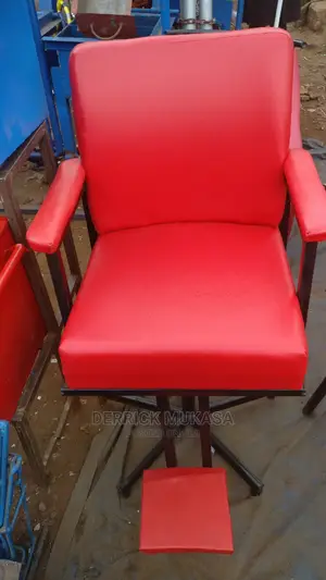 Salon Chair