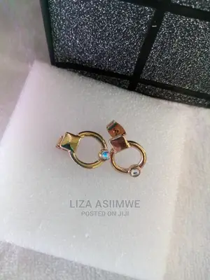 Simple Lady Earpins