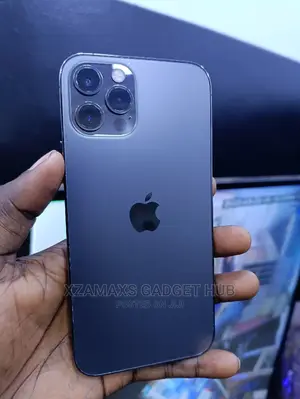 Apple iPhone 12 Pro 256 GB Gray