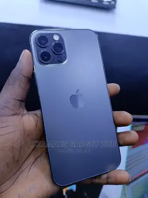 Apple iPhone 12 Pro 256 GB Gray