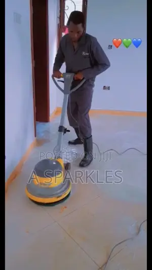 Home or House Cleaning