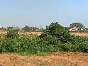 Kigo Fantastic Plots on Sell