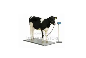 Animals Stand-On Floor Weighing Scales.