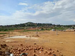 Classy Plot in Kira on Sale