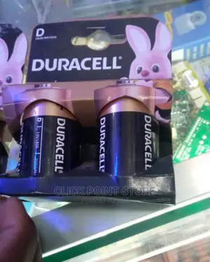 Duracell Batteries Size D