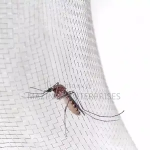 Stainless Steel Mosquito Net Mesh(3ftx25mtrs)