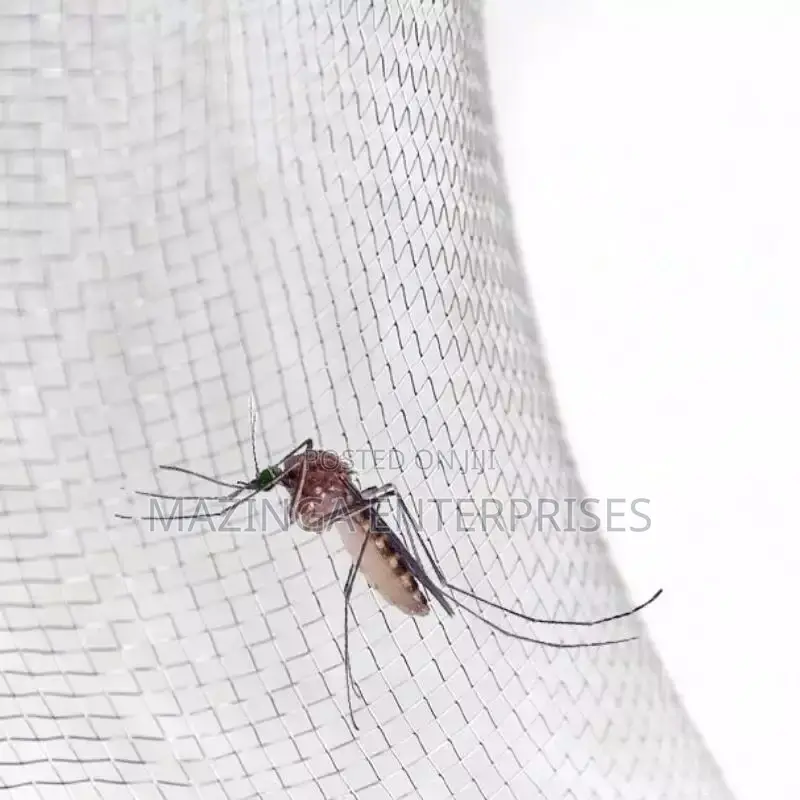 Stainless Steel Mosquito Net Mesh(3ftx25mtrs)