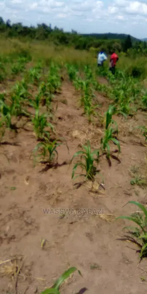 Land ,Plots and Farm for Sell in Veriety Around Uganda