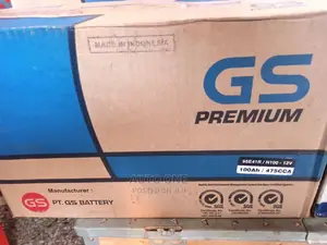 N100 Gs Batteries Japan Standard