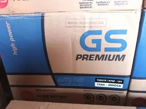 N75/70z Gs Batteries