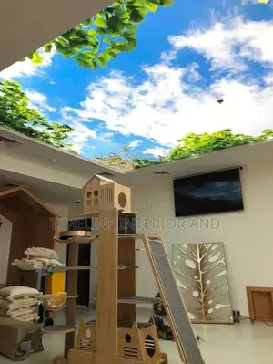 3D Stretch Ceilling.