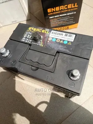 N50 Enercell Batteries Korean Made