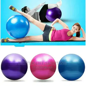 Stability/Exercise Ball