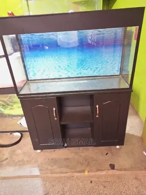 Beautiful Aquarium With Nice Stand