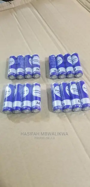 Panasonic Batteries AA- 1 Pair