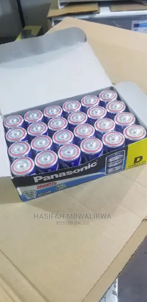 Panasonic Hyper Batteries Size D