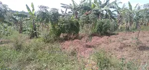 Land for Sale in Kamengo Masaka Road