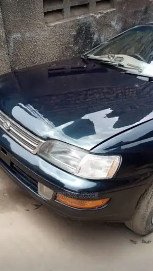 Painting Expert