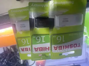 Flash Disk