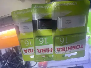 Flash Disk