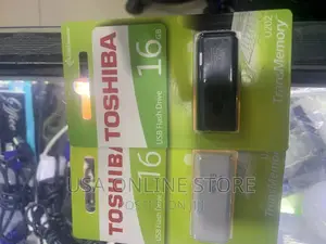 Flash Disk