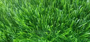 Artificial Tuff Grass