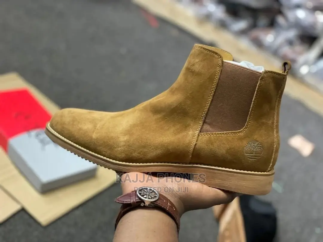 Timberland 2.