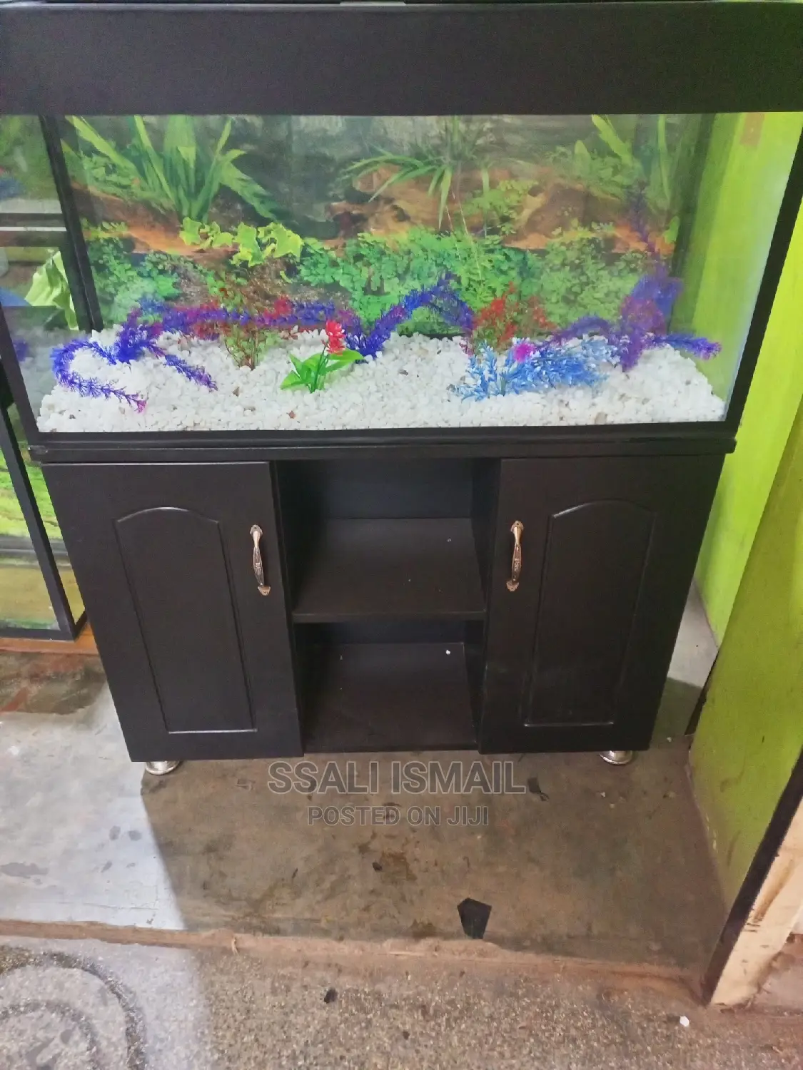 A Nice Aquarium Made by Proffesional
