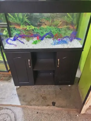 A Nice Aquarium Made by Proffesional