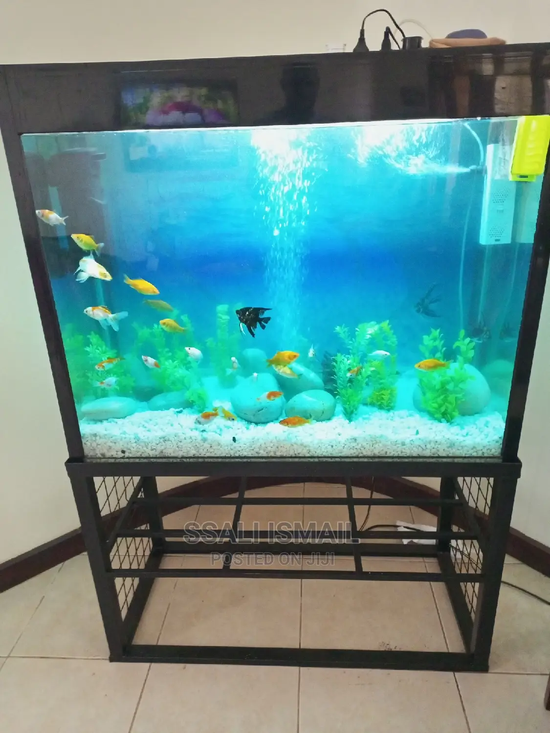 All Black Beautiful Aquarium