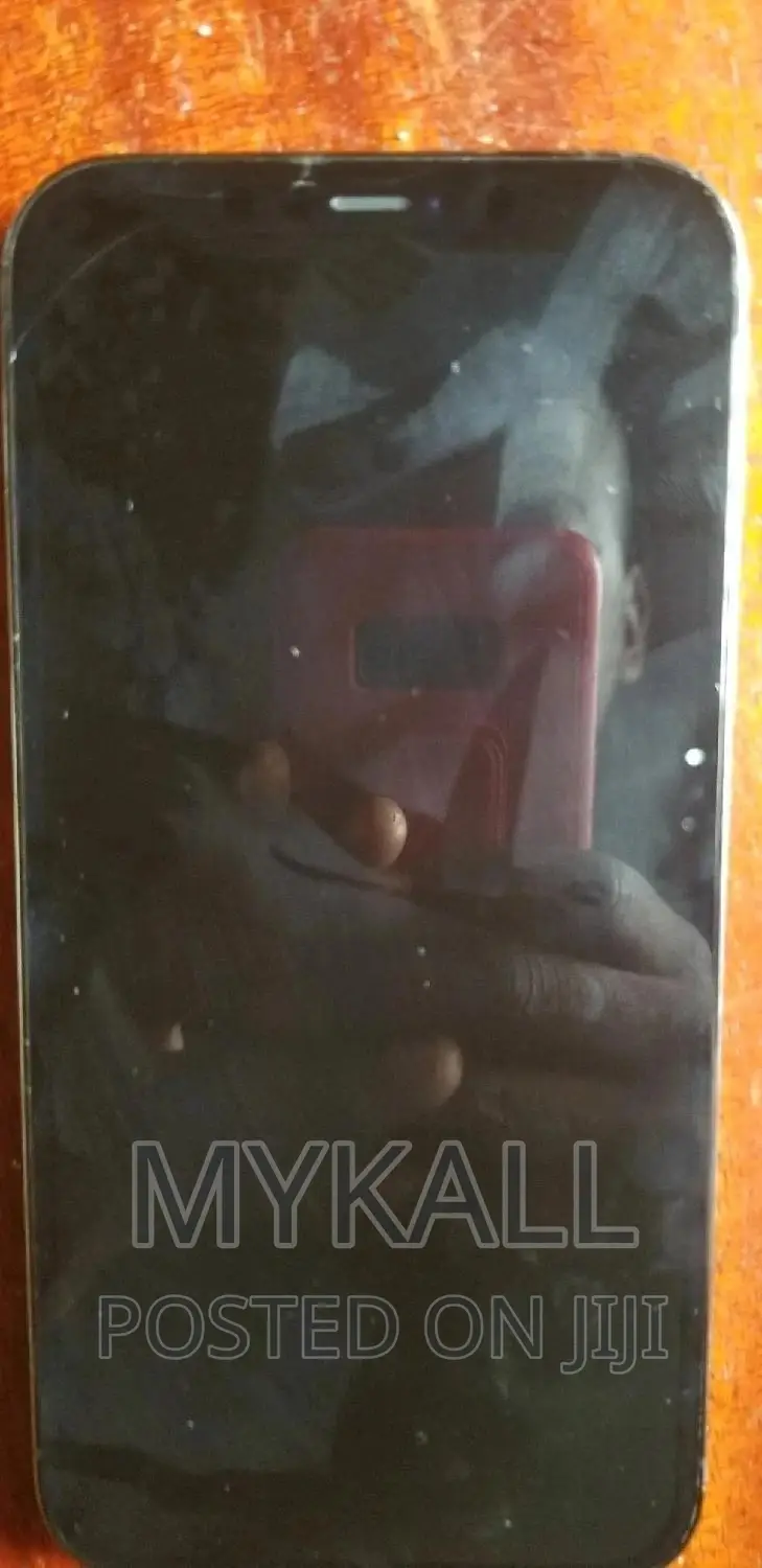 Apple iPhone 12 Pro Max 128 GB Blue