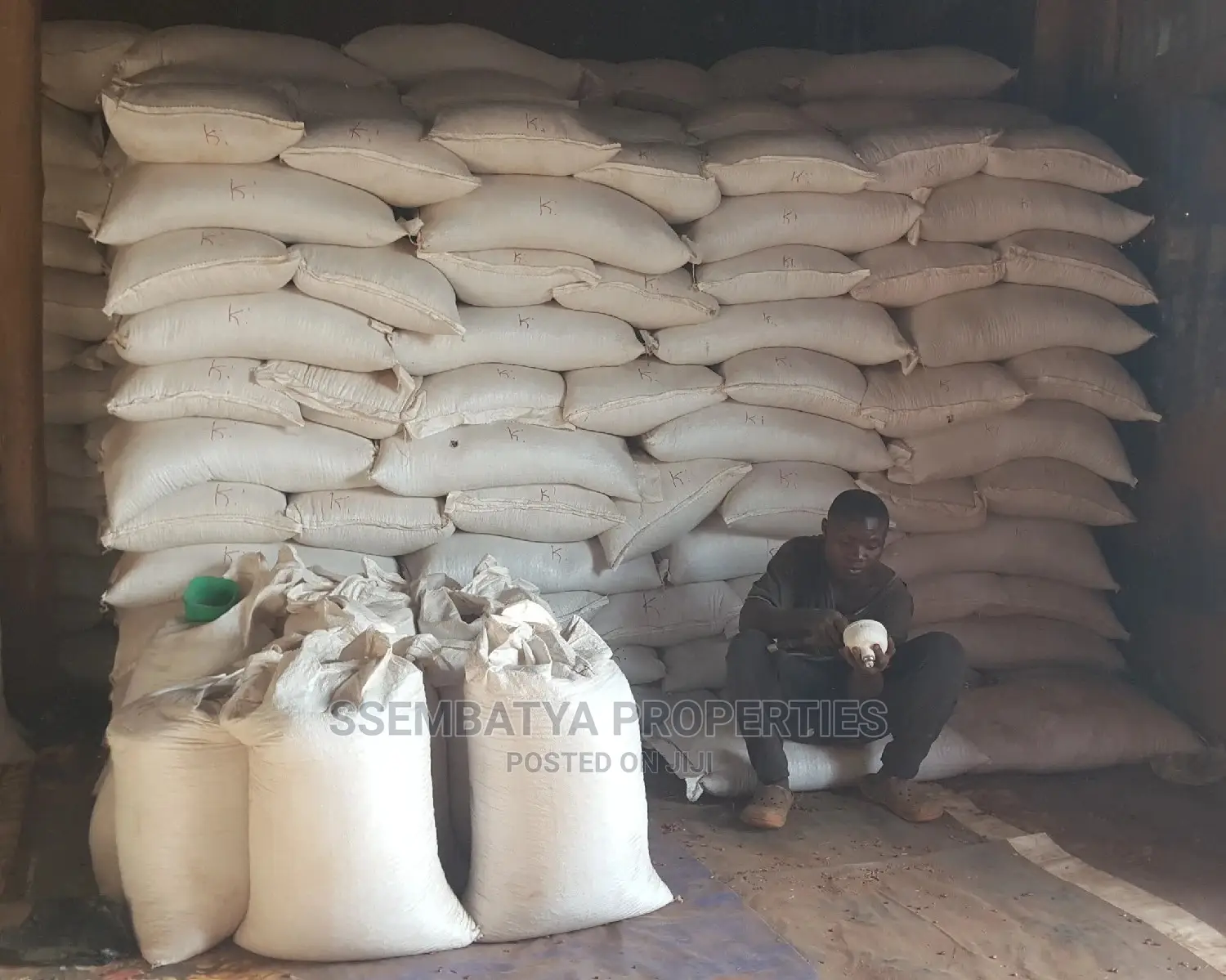 First Class Beans, Maize, Maize Flour, Rice, Coffee , Salt