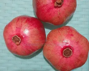 Sweet South African Pomengranate