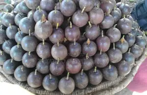Kasese Passion Original Yellow