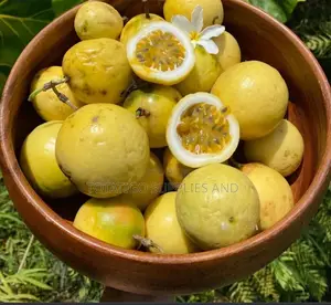 The Local Yellow 