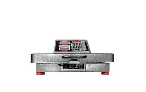 Ordinary Electronic Bench Weigh Scales.