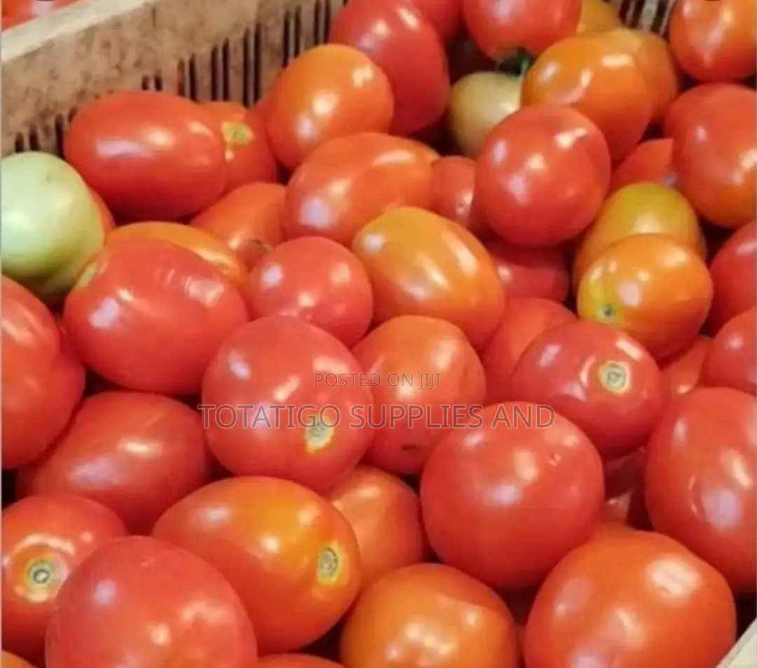 Ugandan Fresh Tomatoes