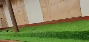 Artificial Grass