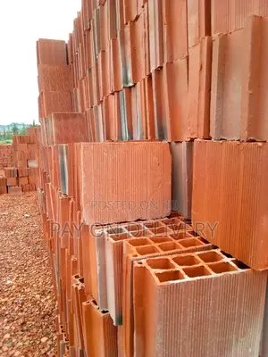 Clay Construction Blocks (Max Pans)